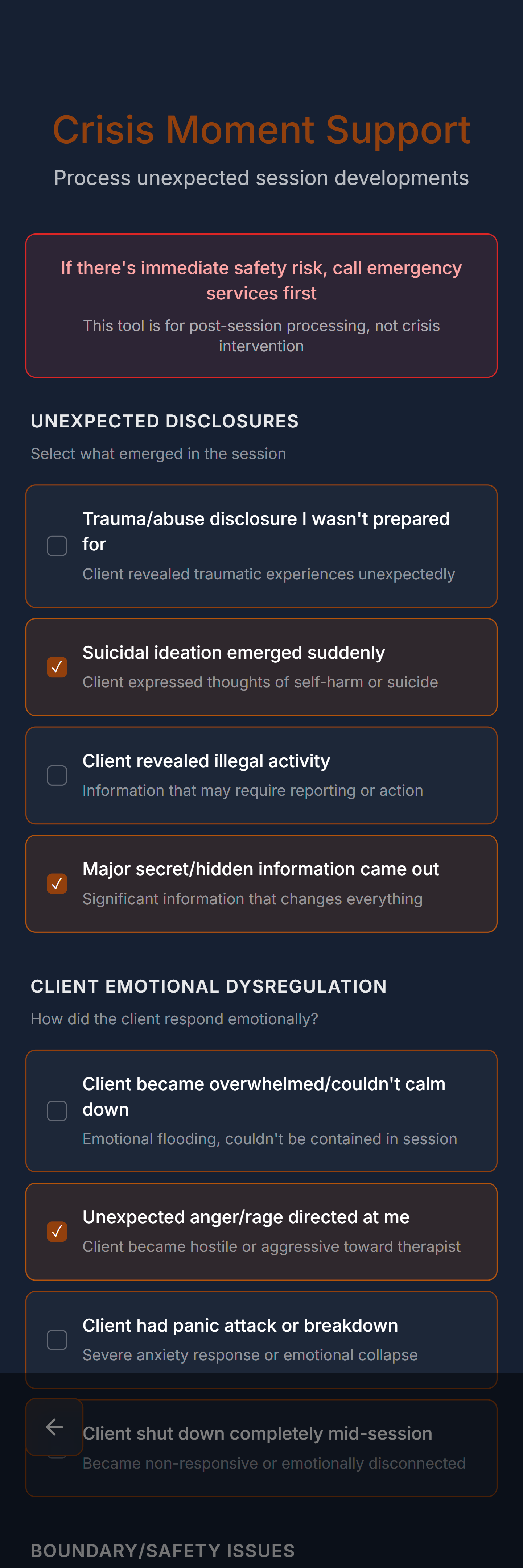 Crisis Moment Support